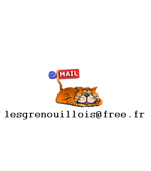 signature mail97