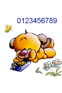 signature telephone80