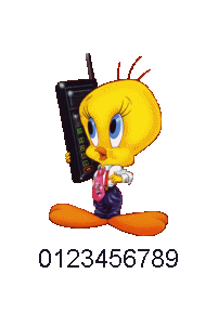 signature telephone81