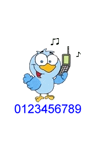 signature telephone93